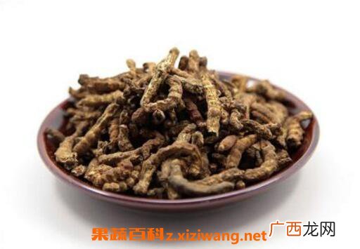 炒僵蚕的功效与作用及常见用法