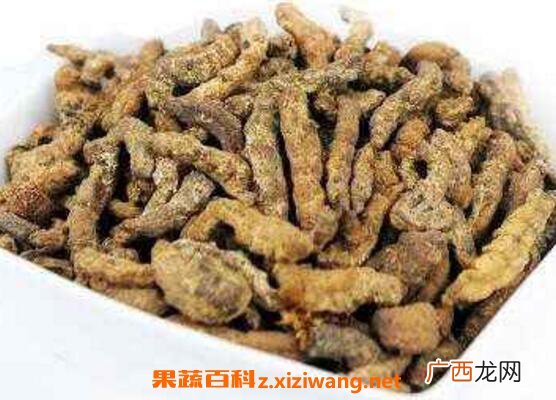 炒僵蚕的功效与作用及常见用法