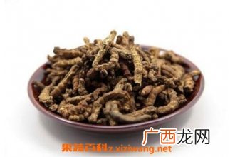 炒僵蚕的功效与作用及常见用法