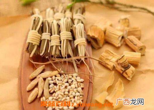芦根的功效与作用 芦根的食用方法