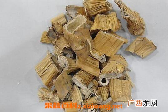芦根的功效与作用 芦根的食用方法