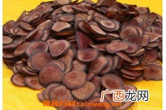 血茸对女人的功效与作用