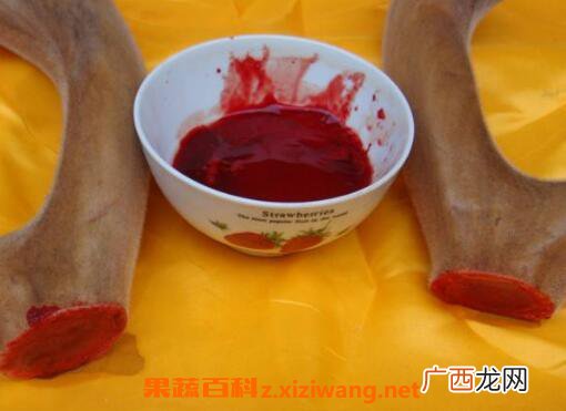 鹿血的功效与作用及食用禁忌
