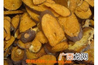虎杖的功效与作用及食用方法