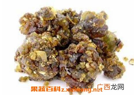 没药的功效与作用及药用价值