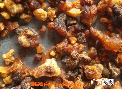 没药的功效与作用及药用价值
