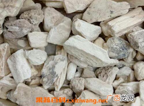 龙骨的功效与作用及禁忌