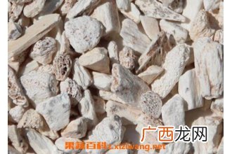 龙骨的功效与作用及禁忌