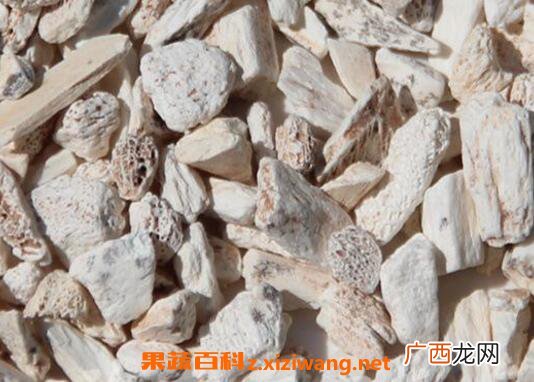 龙骨的功效与作用及禁忌