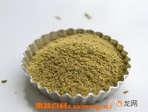 小茴香的功效与作用及药用价值