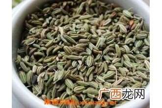小茴香的功效与作用及药用价值