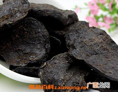 何首乌的功效与作用及药用价值