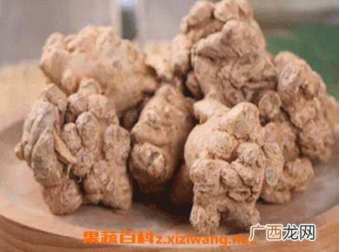 三七参的功效与作用