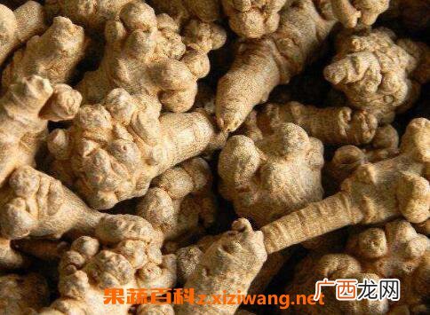 三七参的功效与作用