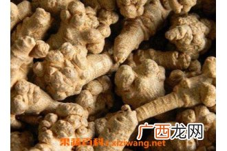 三七参的功效与作用