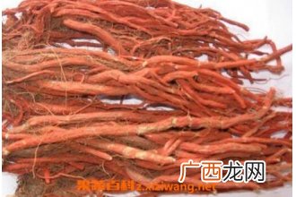 血参的功效与作用