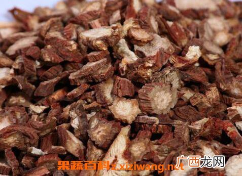 血参根的功效与作用