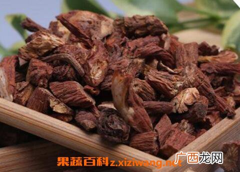 血参根的功效与作用