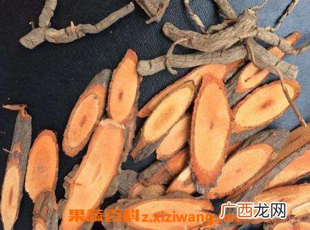 五香血藤的功效与作用 五香血藤的常见用法