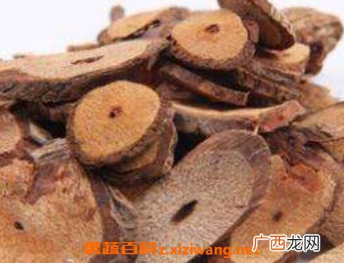 五香血藤的功效与作用 五香血藤的常见用法