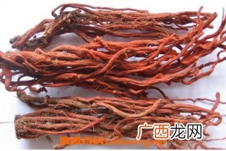 血参怎么吃好 血参的吃法技巧