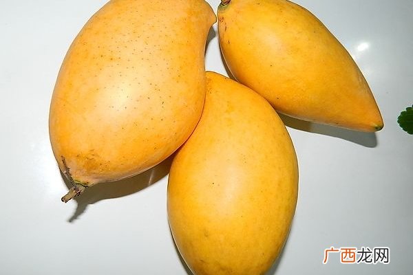 芒果哪个地方的好国内外芒果大pk