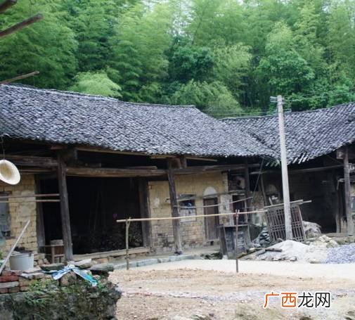 竹鼠怎样养殖 竹鼠技术分享