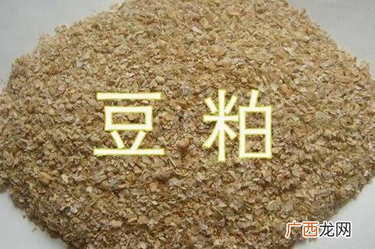 豆粕最新消息 豆粕技术分析