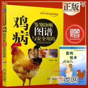 农村养鸡技术 养鸡技术电子书