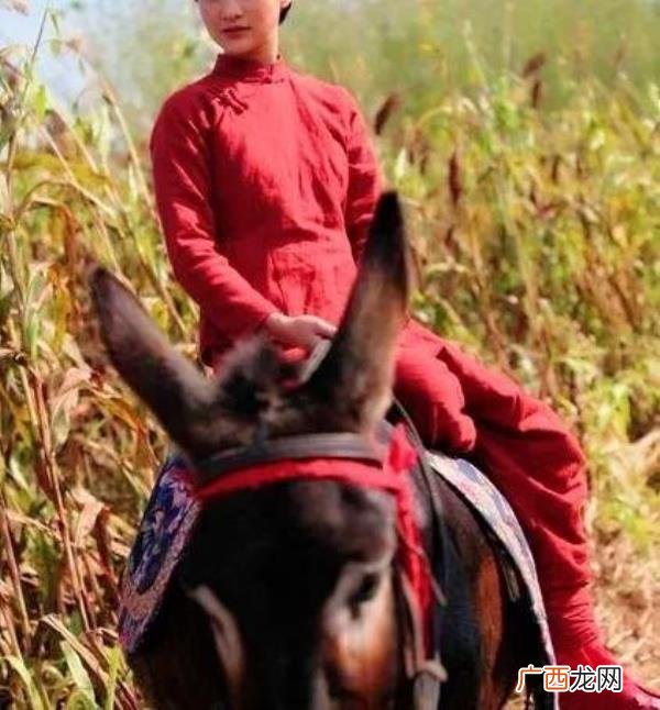 白天是狗晚上是丈夫故事,晚上跟丈夫一起神秘惨死家中