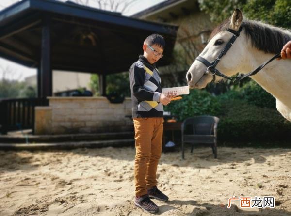 白天约会去什么地方比较好，白天和小马宝莉约会