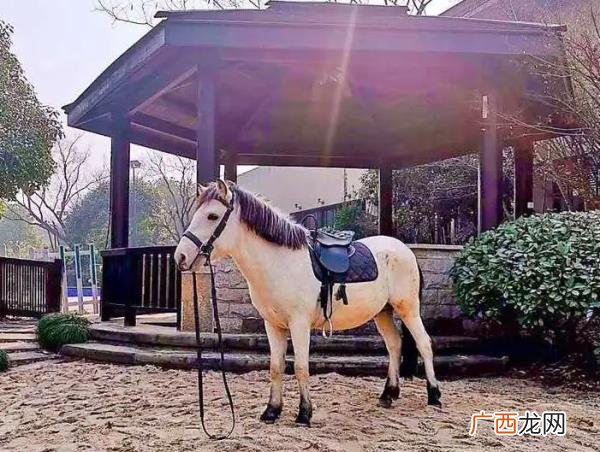 白天约会去什么地方比较好，白天和小马宝莉约会
