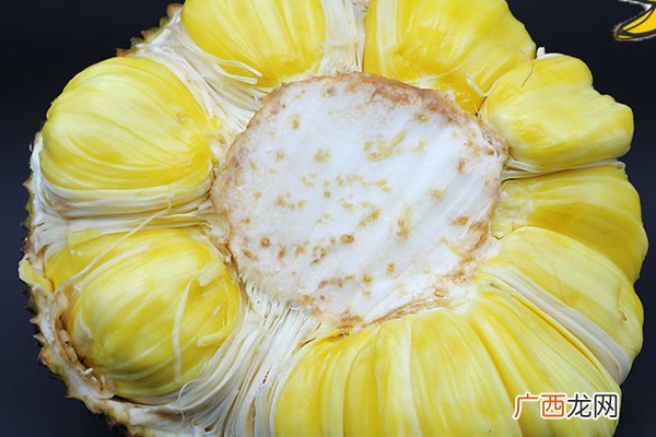 菠萝蜜干苞和湿苞的区别菠萝蜜干苞和湿苞哪个好