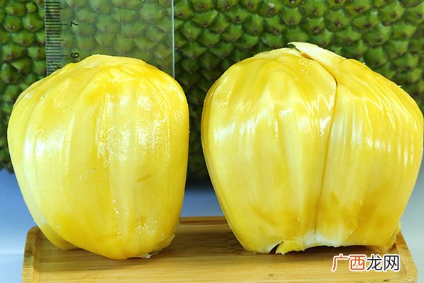 菠萝蜜干苞和湿苞的区别菠萝蜜干苞和湿苞哪个好