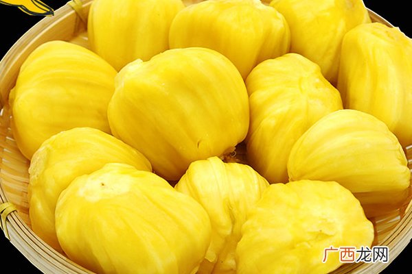 菠萝蜜干苞和湿苞的区别菠萝蜜干苞和湿苞哪个好