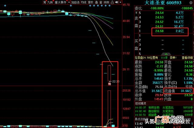 股票崩盘的后果 股票崩盘什么意思