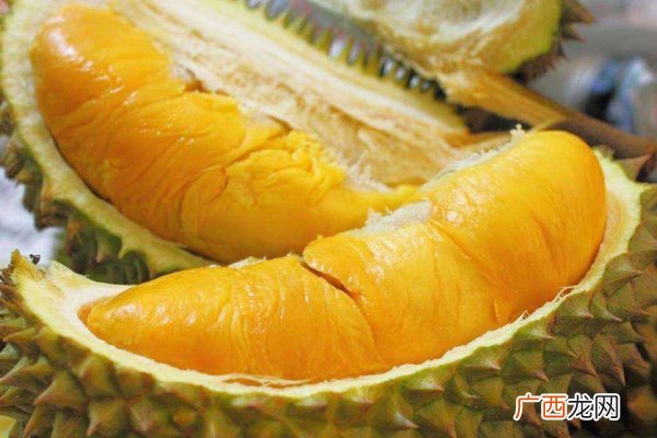 榴莲哪个产地的好国内外榴莲大pk