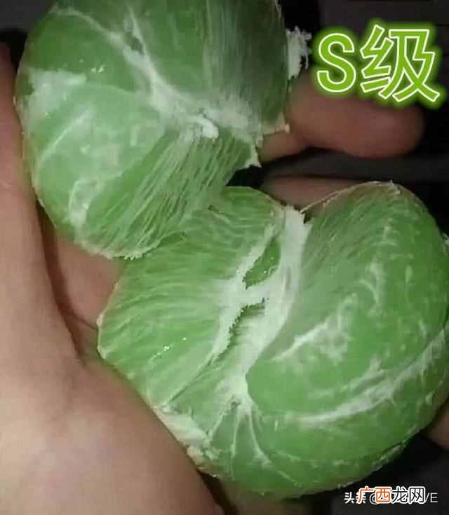 什么叫绿色食品？分类标准是什么