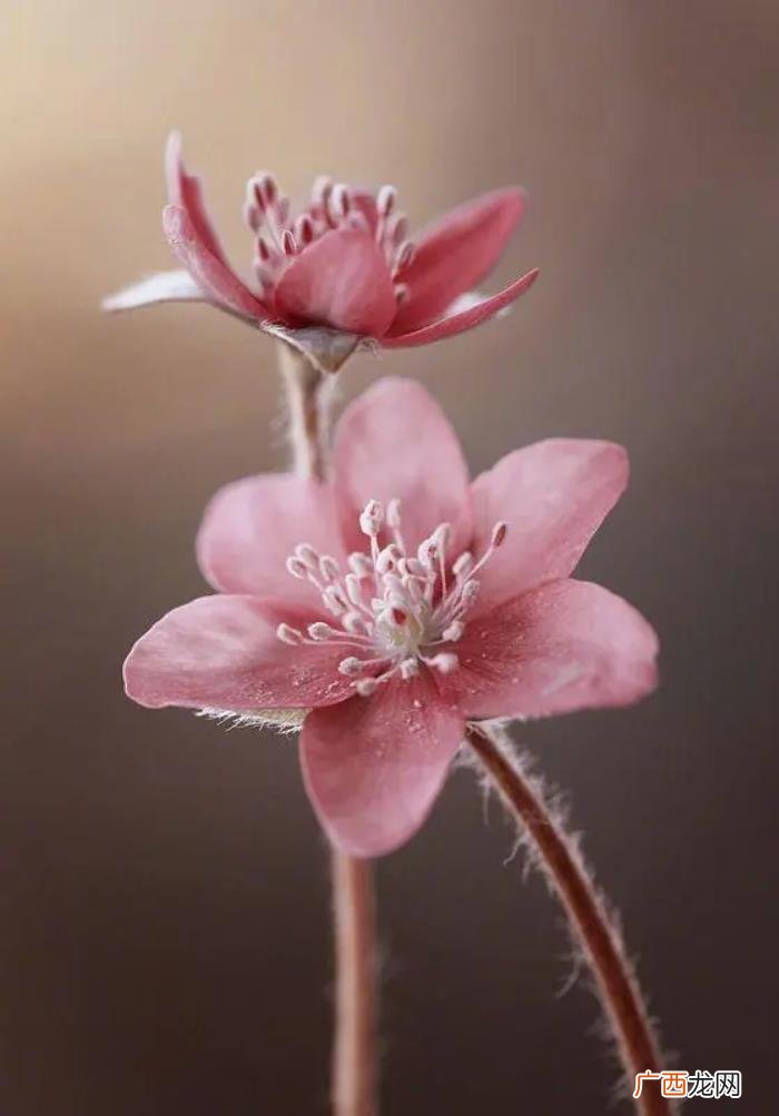 幸福的人生感悟句子 感悟幸福