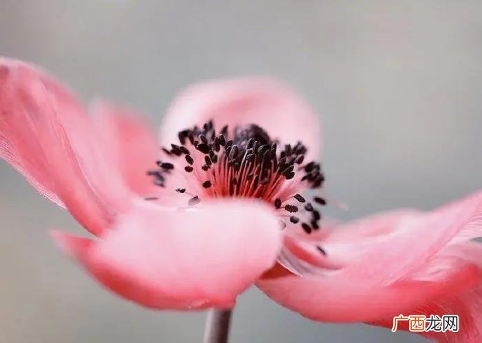 幸福的人生感悟句子 感悟幸福