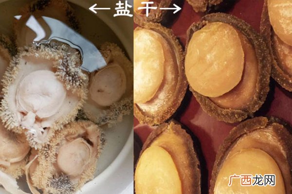 淡干鲍鱼和盐干鲍鱼怎么区分用肉眼就能辨别