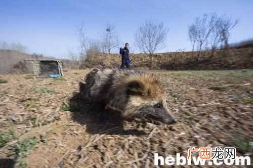 一丘之貉是什么意思？今天终于明白了