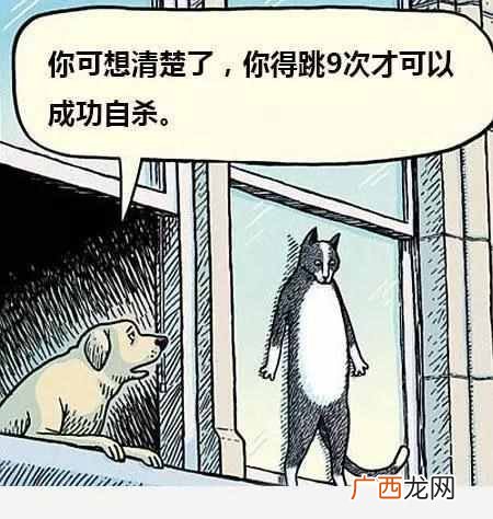 好奇害死猫什么意思？这句话的典故出自于哪里