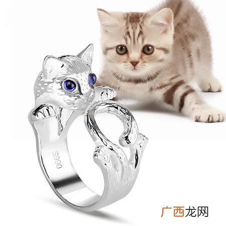 喵星人系列礼物猫咪控的ta一定喜欢
