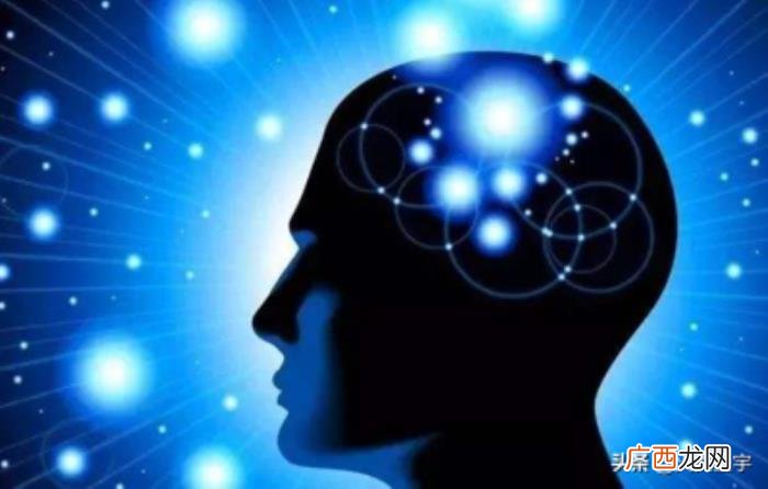 智商低的十种表现，表现人智商低的特征与十种表现