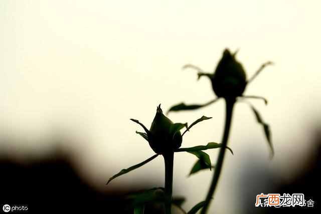 未雨绸缪是什么意思？人生的路上要懂得未雨绸