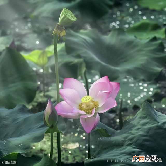 未雨绸缪是什么意思？人生的路上要懂得未雨绸