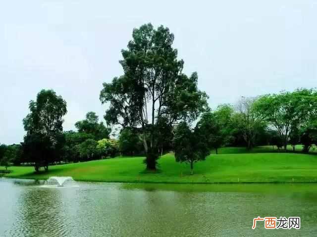 心旷神怡是什么意思？累了的时候看看这几张图
