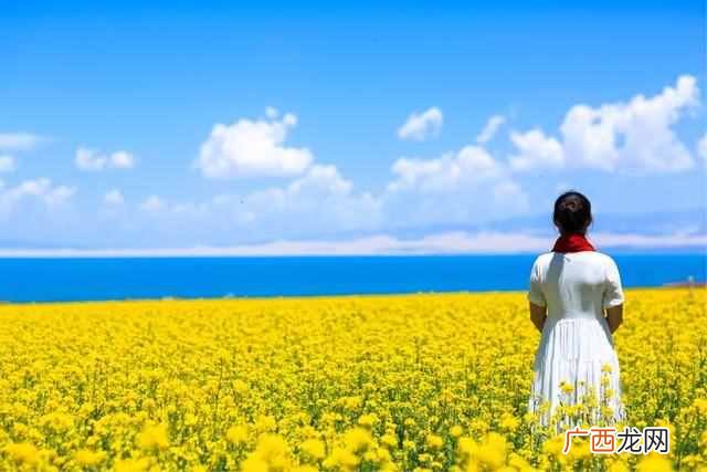 邂逅什么意思？与青海的一次美的邂逅，让我终