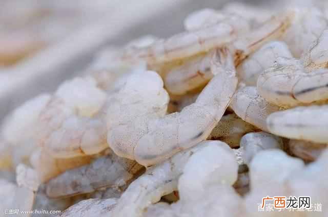 鱼苗吃什么食物好？